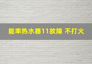 能率热水器11故障 不打火